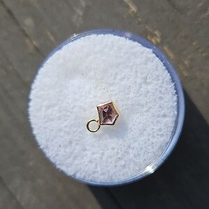 Mettle And Silver Ear Charm